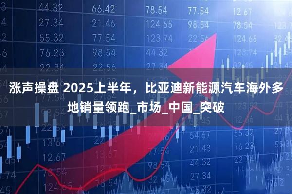涨声操盘 2025上半年,比亚迪新能源汽车海外多地销量领跑_市场_中国_突破