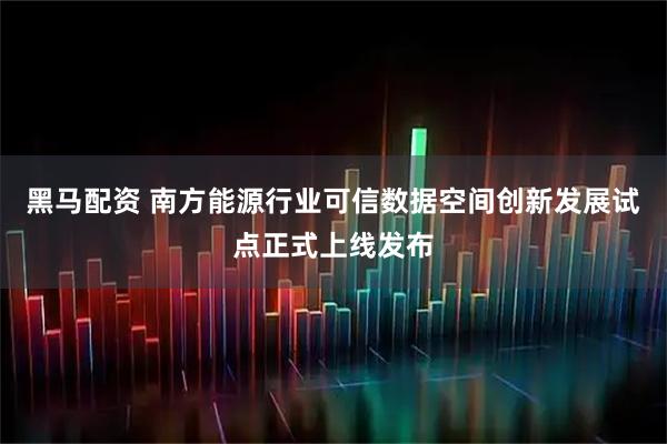 黑马配资 南方能源行业可信数据空间创新发展试点正式上线发布