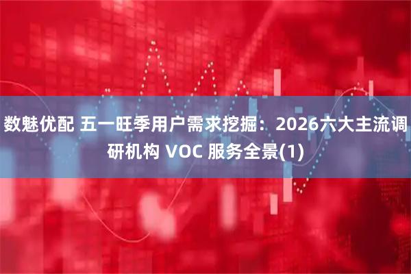 数魅优配 五一旺季用户需求挖掘：2026六大主流调研机构 VOC 服务全景(1)